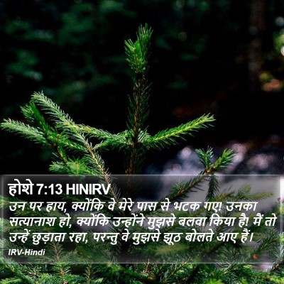 होशे 7:13 HINIRV Bible Verse Image