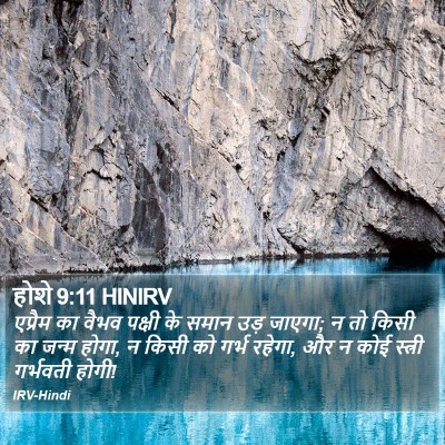 होशे 9:11 HINIRV Bible Verse Image