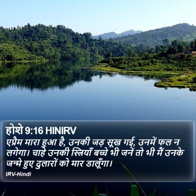 होशे 9:16 HINIRV Bible Verse Image