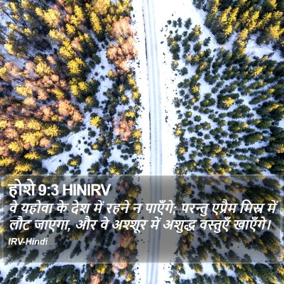 होशे 9:3 HINIRV Bible Verse Image
