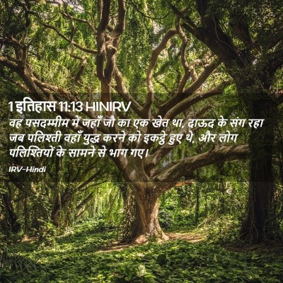 Picture 02 - 1 इतिहास 11:13 HINIRV - वह पसदम्मीम में - Bible Verse Picture