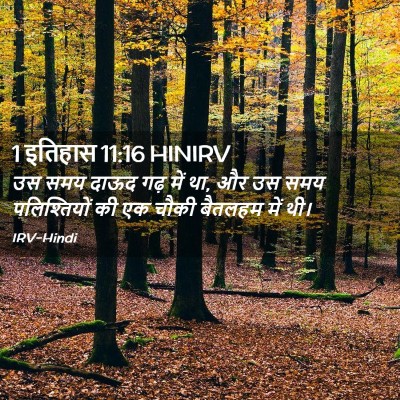 Picture 02 - 1 इतिहास 11:16 HINIRV - उस समय दाऊद गढ़ में - Bible Verse Picture