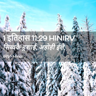 Picture 02 - 1 इतिहास 11:29 HINIRV - सिब्बकै हूशाई, - Bible Verse Picture