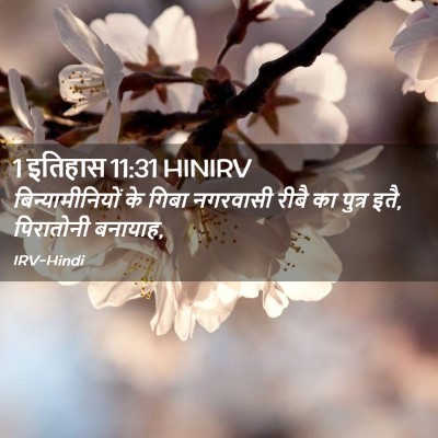 Picture 02 - 1 इतिहास 11:31 HINIRV - बिन्यामीनियों के - Bible Verse Picture