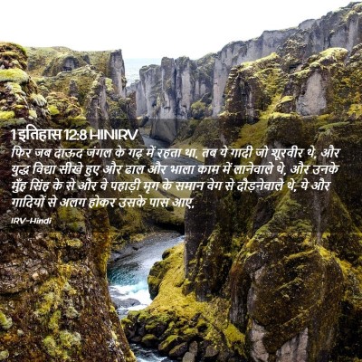Picture 02 - 1 इतिहास 12:8 HINIRV - फिर जब दाऊद जंगल के - Bible Verse Picture
