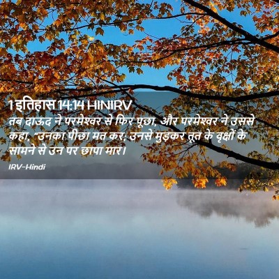 Picture 02 - 1 इतिहास 14:14 HINIRV - तब दाऊद ने - Bible Verse Picture