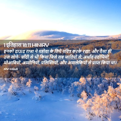 Picture 02 - 1 इतिहास 18:11 HINIRV - इनको दाऊद राजा ने - Bible Verse Picture