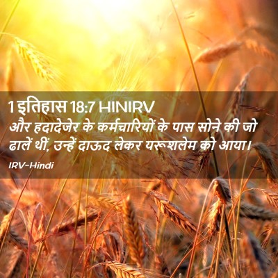 Picture 02 - 1 इतिहास 18:7 HINIRV - और हदादेजेर के - Bible Verse Picture