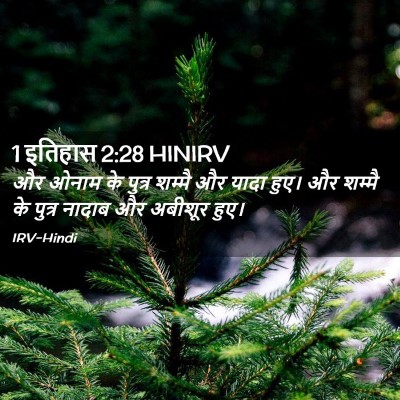 Picture 02 - 1 इतिहास 2:28 HINIRV - और ओनाम के पुत्र - Bible Verse Picture