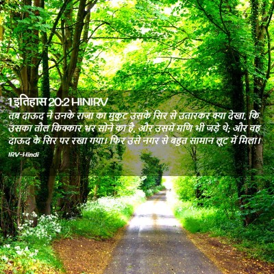 Picture 02 - 1 इतिहास 20:2 HINIRV - तब दाऊद ने उनके - Bible Verse Picture