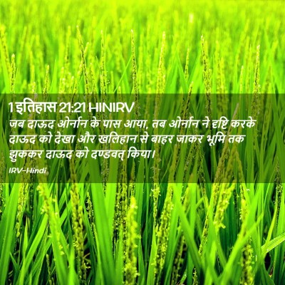 Picture 02 - 1 इतिहास 21:21 HINIRV - जब दाऊद ओर्नान के - Bible Verse Picture