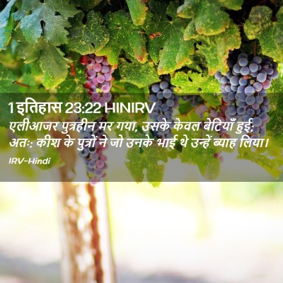 Picture 02 - 1 इतिहास 23:22 HINIRV - एलीआजर पुत्रहीन - Bible Verse Picture