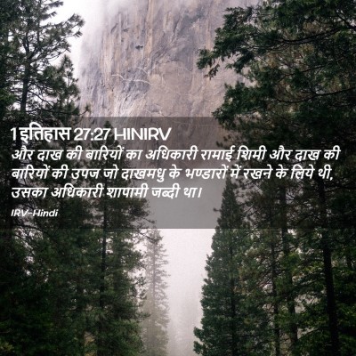 Picture 02 - 1 इतिहास 27:27 HINIRV - और दाख की बारियों - Bible Verse Picture