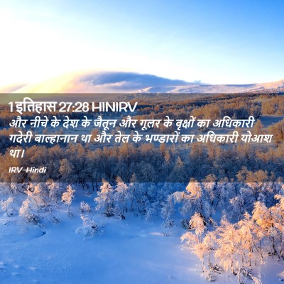 Picture 02 - 1 इतिहास 27:28 HINIRV - और नीचे के देश के - Bible Verse Picture