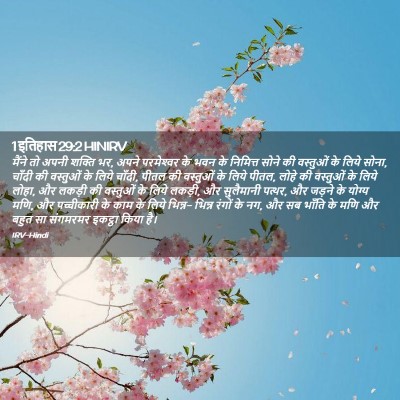 Picture 02 - 1 इतिहास 29:2 HINIRV - मैंने तो अपनी - Bible Verse Picture