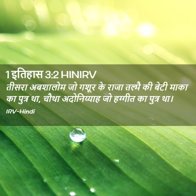 Picture 02 - 1 इतिहास 3:2 HINIRV - तीसरा अबशालोम जो - Bible Verse Picture