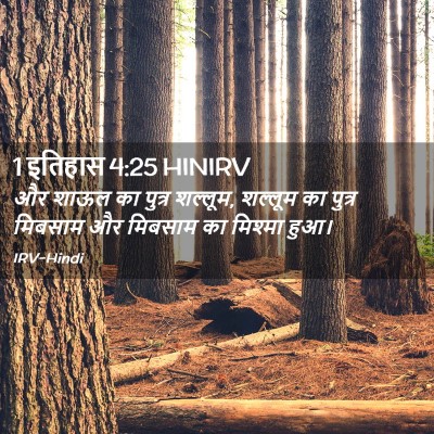 Picture 02 - 1 इतिहास 4:25 HINIRV - और शाऊल का पुत्र - Bible Verse Picture