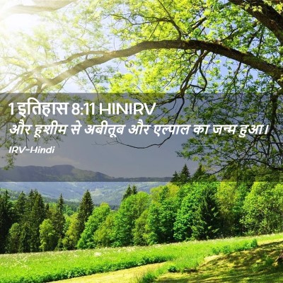 Picture 02 - 1 इतिहास 8:11 HINIRV - और हूशीम से अबीतूब - Bible Verse Picture