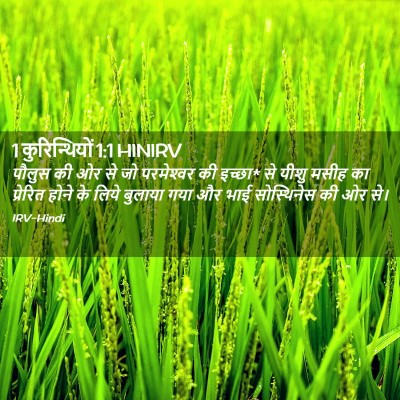 Picture 02 - 1 कुरिन्थियों 1:1 HINIRV - पौलुस की ओर से जो - Bible Verse Picture