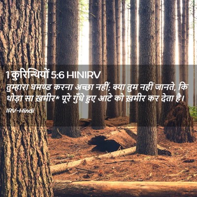 Picture 02 - 1 कुरिन्थियों 5:6 HINIRV - तुम्हारा घमण्ड - Bible Verse Picture