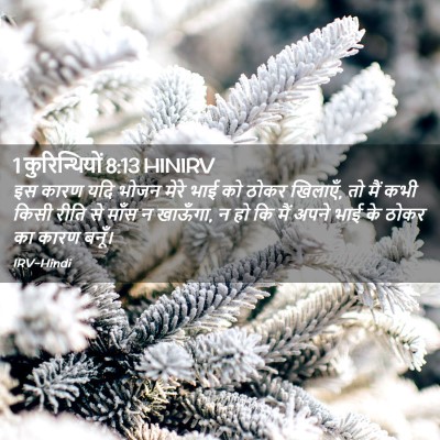 Picture 02 - 1 कुरिन्थियों 8:13 HINIRV - इस कारण यदि भोजन - Bible Verse Picture