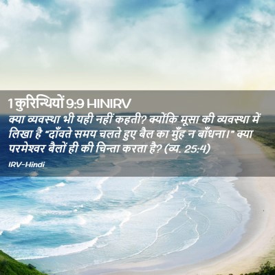 Picture 02 - 1 कुरिन्थियों 9:9 HINIRV - क्या व्यवस्था भी - Bible Verse Picture