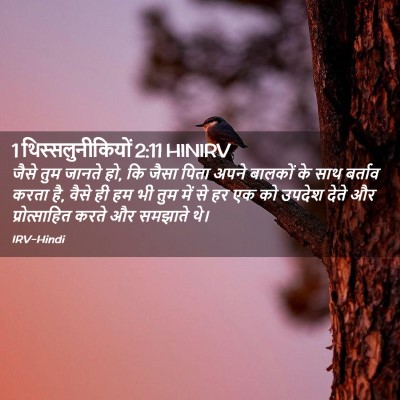 Picture 02 - 1 थिस्सलुनीकियों 2:11 HINIRV - जैसे तुम जानते हो, - Bible Verse Picture
