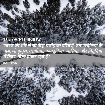 Picture 02 - 1 पतरस 1:1 HINIRV - पतरस की ओर से जो - Bible Verse Picture