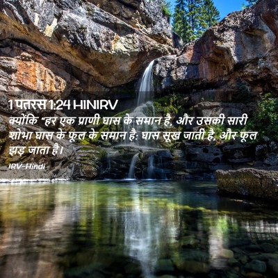 Picture 02 - 1 पतरस 1:24 HINIRV - क्योंकि “हर एक - Bible Verse Picture