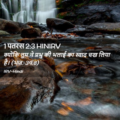 Picture 02 - 1 पतरस 2:3 HINIRV - क्योंकि तुम ने - Bible Verse Picture