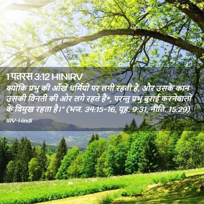Picture 02 - 1 पतरस 3:12 HINIRV - क्योंकि प्रभु की - Bible Verse Picture