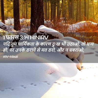 Picture 02 - 1 पतरस 3:14 HINIRV - यदि तुम धार्मिकता - Bible Verse Picture