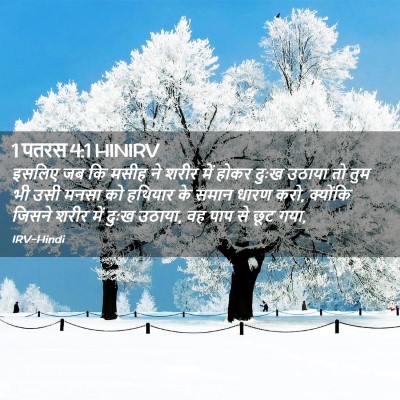 Picture 02 - 1 पतरस 4:1 HINIRV - इसलिए जब कि मसीह ने - Bible Verse Picture