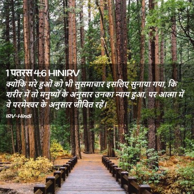 Picture 02 - 1 पतरस 4:6 HINIRV - क्योंकि मरे हुओं - Bible Verse Picture