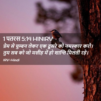 Picture 02 - 1 पतरस 5:14 HINIRV - प्रेम से चुम्बन - Bible Verse Picture