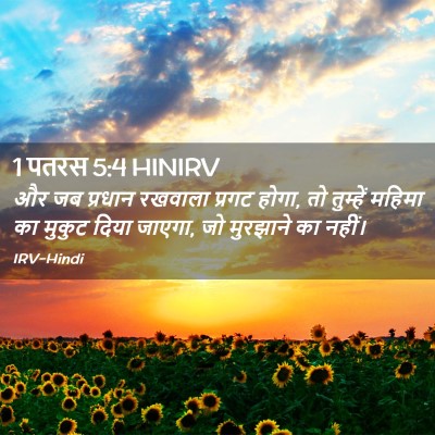 Picture 02 - 1 पतरस 5:4 HINIRV - और जब प्रधान - Bible Verse Picture