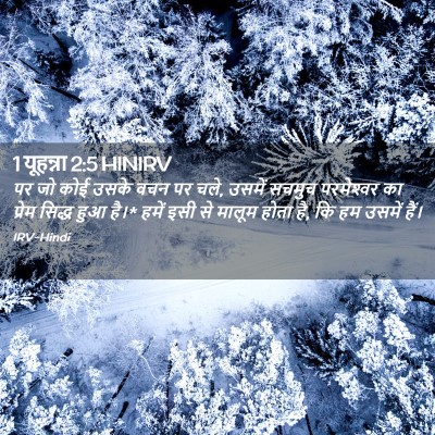 Picture 02 - 1 यूहन्ना 2:5 HINIRV - पर जो कोई उसके वचन - Bible Verse Picture