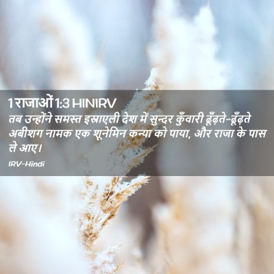 Picture 02 - 1 राजाओं 1:3 HINIRV - तब उन्होंने समस्त - Bible Verse Picture