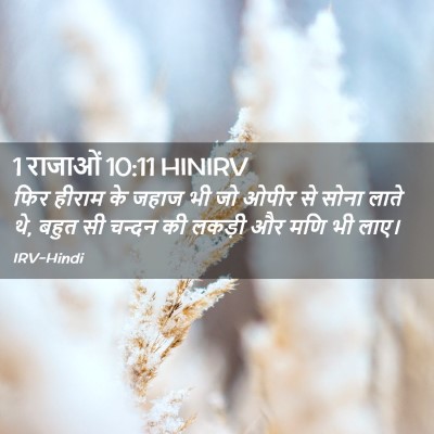 Picture 02 - 1 राजाओं 10:11 HINIRV - फिर हीराम के जहाज - Bible Verse Picture