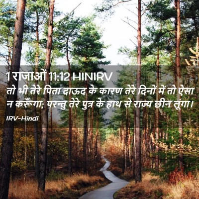 Picture 02 - 1 राजाओं 11:12 HINIRV - तो भी तेरे पिता - Bible Verse Picture