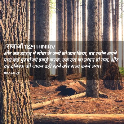 Picture 02 - 1 राजाओं 11:24 HINIRV - और जब दाऊद ने सोबा - Bible Verse Picture