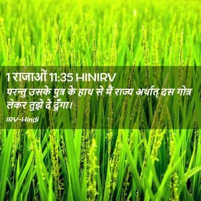 Picture 02 - 1 राजाओं 11:35 HINIRV - परन्तु उसके पुत्र - Bible Verse Picture