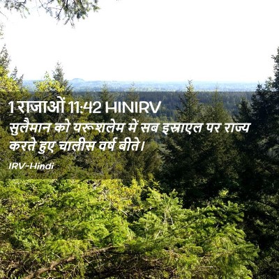 Picture 02 - 1 राजाओं 11:42 HINIRV - सुलैमान को - Bible Verse Picture