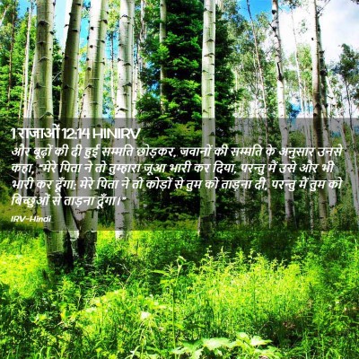 Picture 02 - 1 राजाओं 12:14 HINIRV - और बूढ़ों की दी हुई - Bible Verse Picture