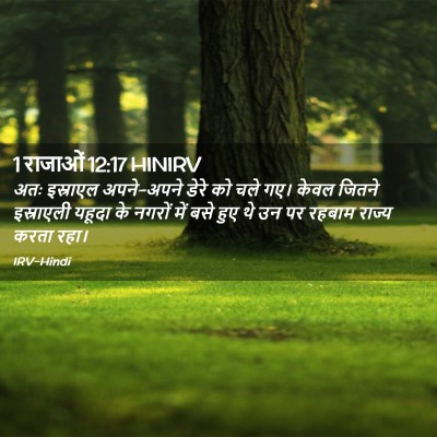 Picture 02 - 1 राजाओं 12:17 HINIRV - अतः इस्राएल - Bible Verse Picture