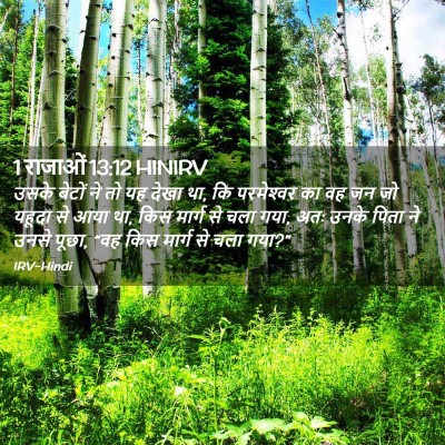 Picture 02 - 1 राजाओं 13:12 HINIRV - उसके बेटों ने तो यह - Bible Verse Picture