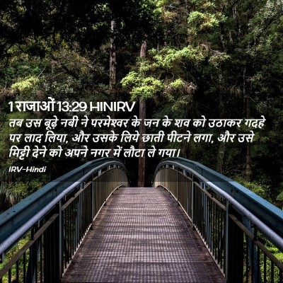 Picture 02 - 1 राजाओं 13:29 HINIRV - तब उस बूढ़े नबी ने - Bible Verse Picture