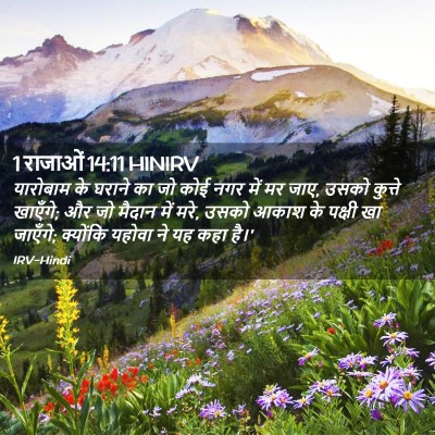 Picture 02 - 1 राजाओं 14:11 HINIRV - यारोबाम के घराने - Bible Verse Picture