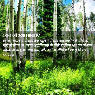Picture 02 - 1 राजाओं 2:28 HINIRV - इसका समाचार योआब - Bible Verse Picture