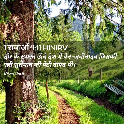 Picture 02 - 1 राजाओं 4:11 HINIRV - दोर के समस्त ऊँचे - Bible Verse Picture